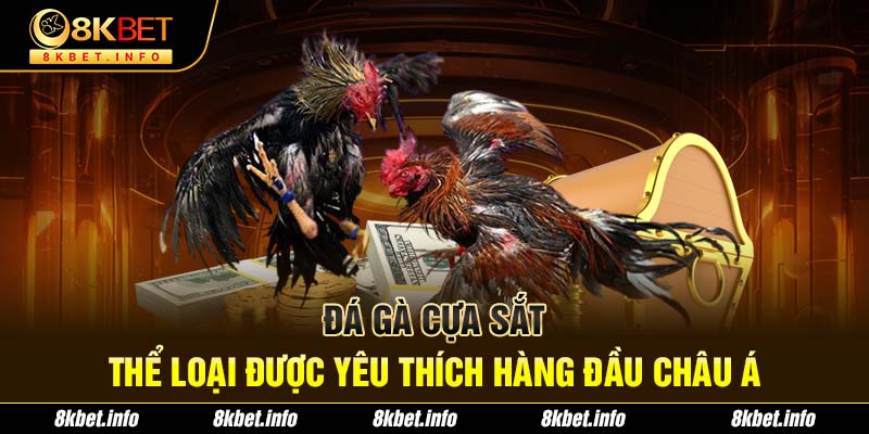 Đá gà cựa sắt - Thể loại được yêu thích hàng đầu châu Á